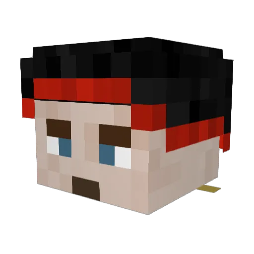 Toasterbath360 Minecraft avatar head, 3D render
