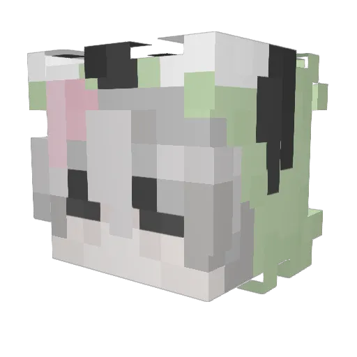 Toasterlol Minecraft avatar head, 3D render