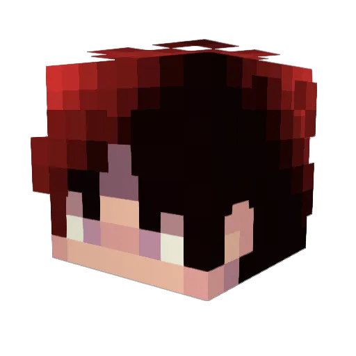 Toasteroni Minecraft avatar head, 3D render
