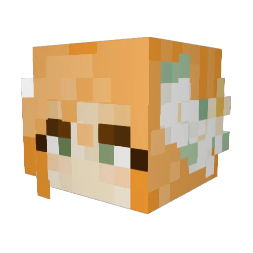 ToastieKitty Minecraft avatar head, 3D render