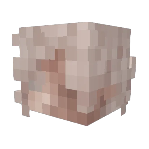 Toastitoos Minecraft avatar head, 3D render