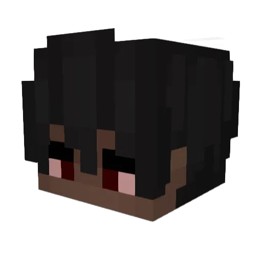 Toastjam13 Minecraft avatar head, 3D render