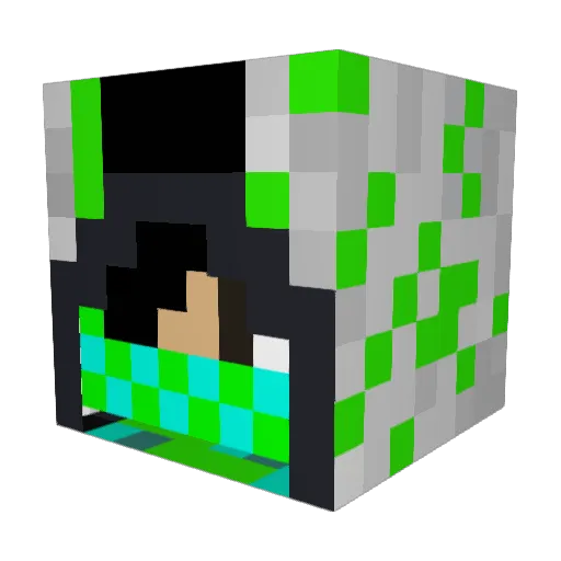 Toastman_001 Minecraft avatar head, 3D render