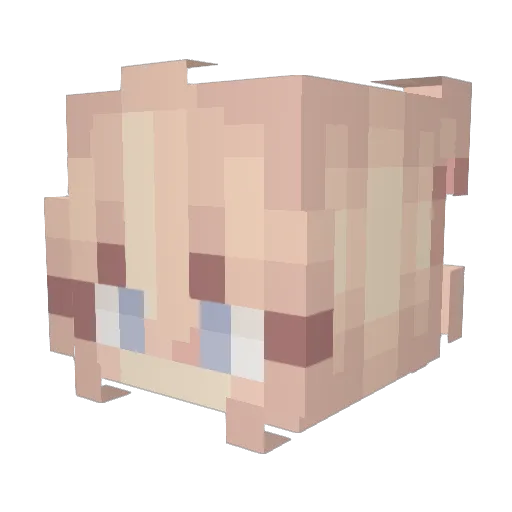 Toastprinc3ss Minecraft avatar head, 3D render