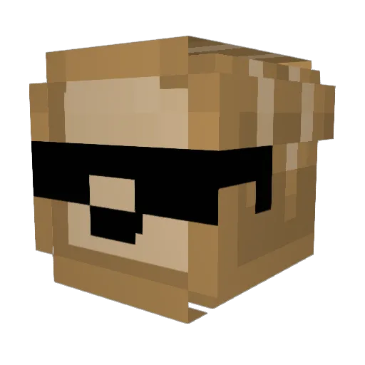 Toastr07 Minecraft avatar head, 3D render