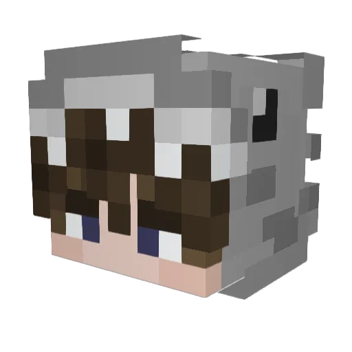 Toasttieee Minecraft avatar head, 3D render