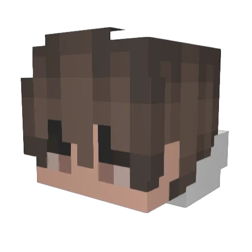 Toastttted Minecraft avatar head, 3D render
