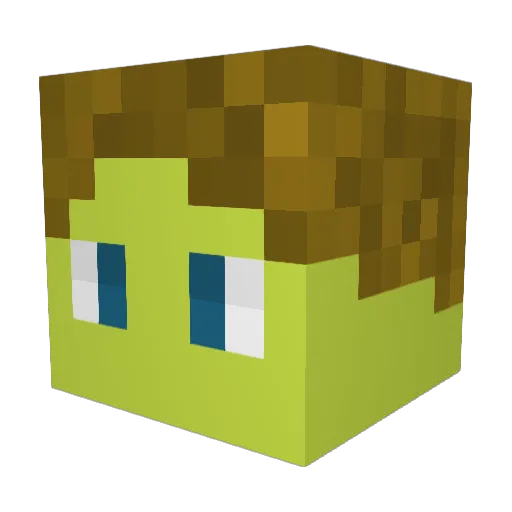 Toastwaffel17 Minecraft avatar head, 3D render