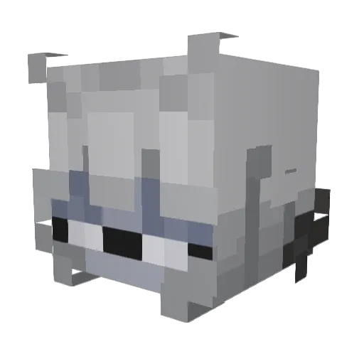 Toasty241 Minecraft avatar head, 3D render