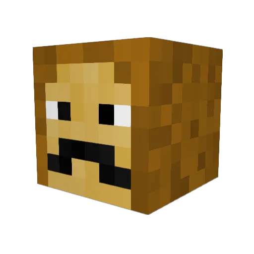 Toasty3150 Minecraft avatar head, 3D render