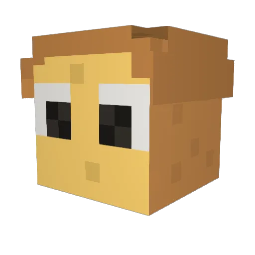 Toasty5050 Minecraft avatar head, 3D render
