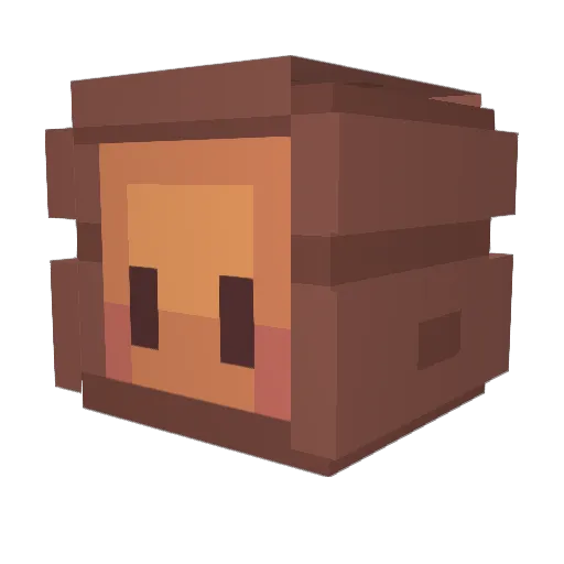 Toasty93 Minecraft avatar head, 3D render