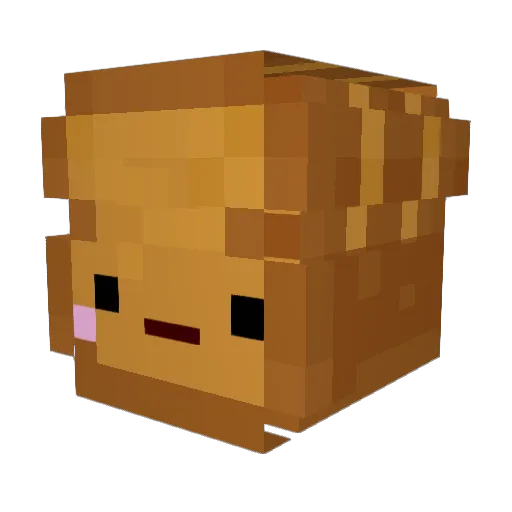 Toasty946 Minecraft avatar head, 3D render