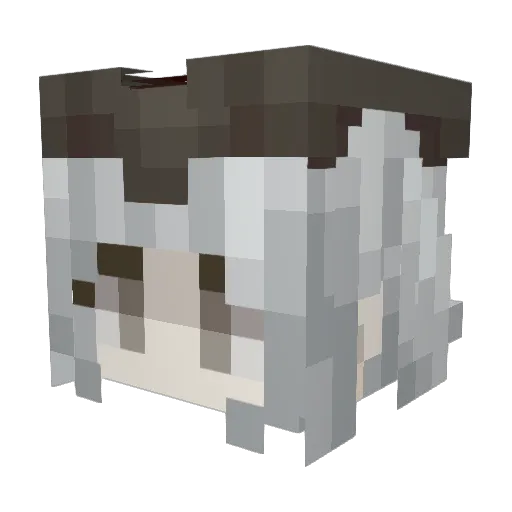 ToastyBaka Minecraft avatar head, 3D render