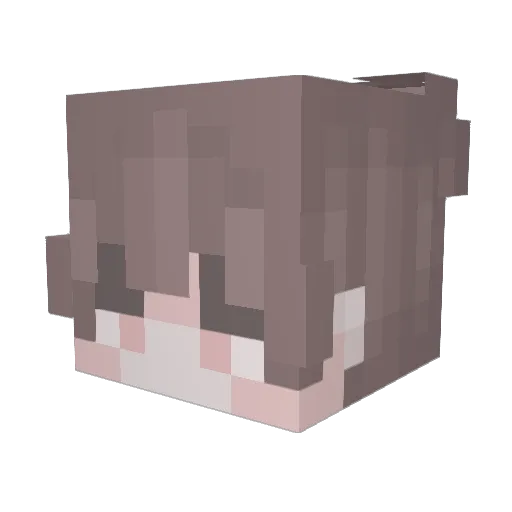 ToastyBean1870 Minecraft avatar head, 3D render