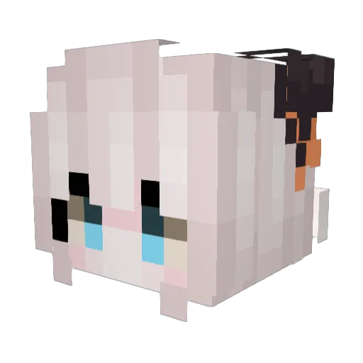 ToastyBread_147 Minecraft avatar head, 3D render