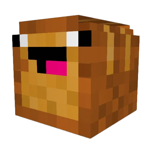 ToastyBroom Minecraft avatar head, 3D render