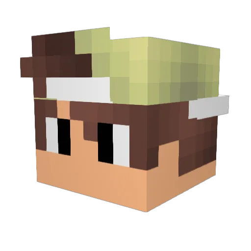 ToastyKit Minecraft avatar head, 3D render