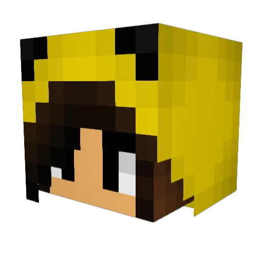 ToastyLikeToast Minecraft avatar head, 3D render
