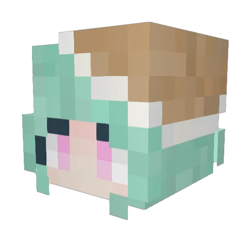 ToastyLime61200 Minecraft avatar head, 3D render