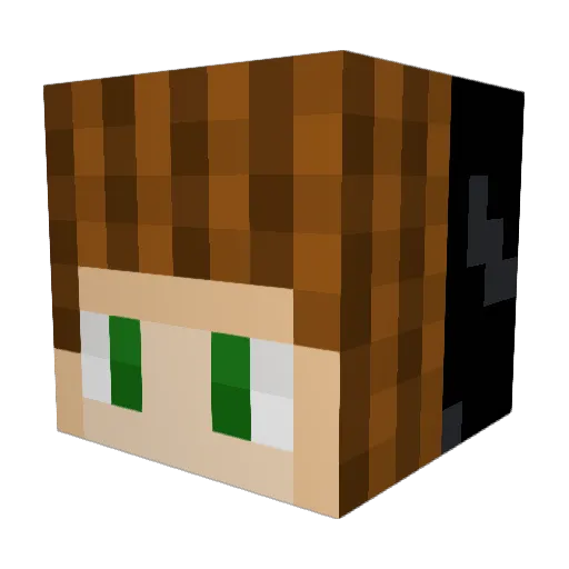 ToastyLunchbox Minecraft avatar head, 3D render