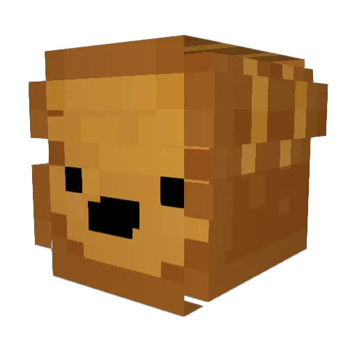 ToastyMr Minecraft avatar head, 3D render