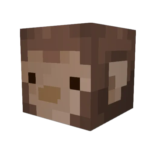 ToastyMuffin121 Minecraft avatar head, 3D render