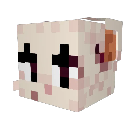 ToastyOwO Minecraft avatar head, 3D render