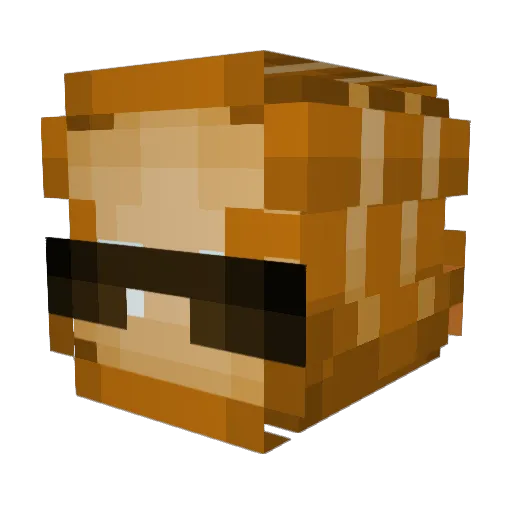 ToastyPuppy Minecraft avatar head, 3D render