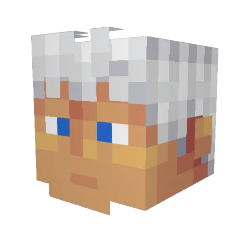 ToastyPvP Minecraft avatar head, 3D render