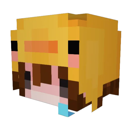 ToastyTosuto Minecraft avatar head, 3D render