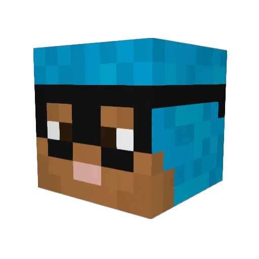 ToastyTurnip660 Minecraft avatar head, 3D render
