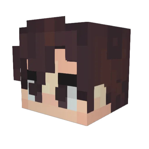 ToastyUnicorns Minecraft avatar head, 3D render
