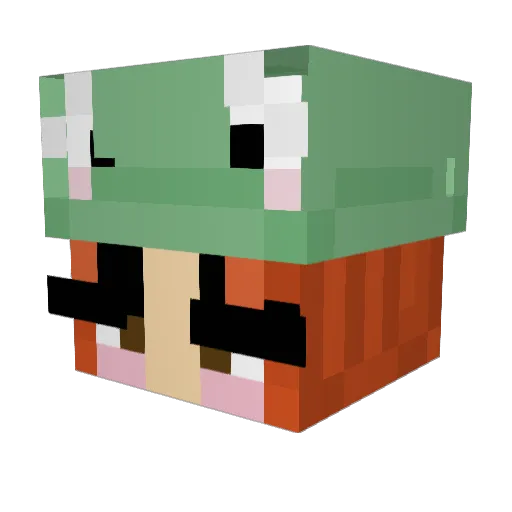 ToastyVorel Minecraft avatar head, 3D render