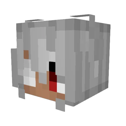ToastyXL Minecraft avatar head, 3D render