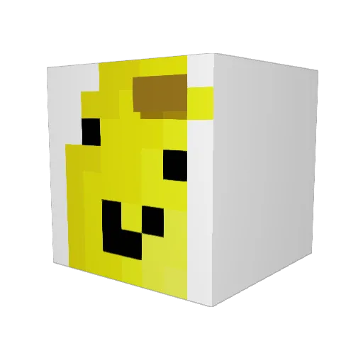 Toasty_Bucketz Minecraft avatar head, 3D render