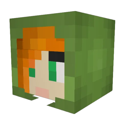 Toasty_Fire_Fox Minecraft avatar head, 3D render