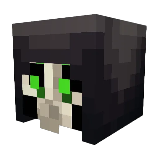Toasty_Fx Minecraft avatar head, 3D render