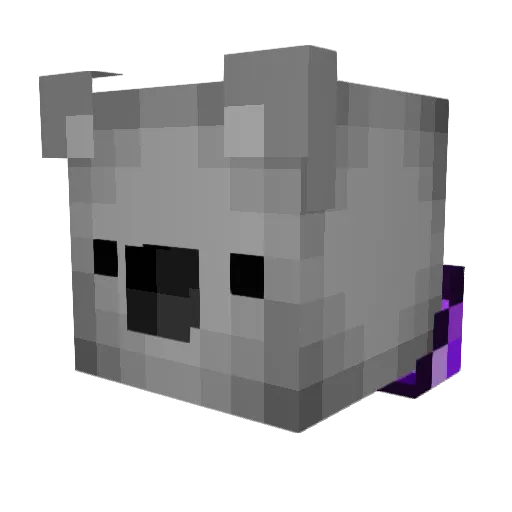 Toasty__XxX Minecraft avatar head, 3D render