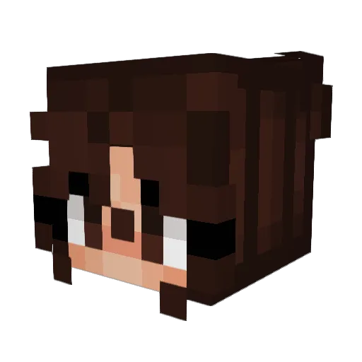 Toasty_muggins Minecraft avatar head, 3D render