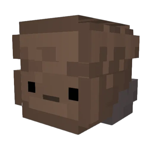 Toastyy3 Minecraft avatar head, 3D render