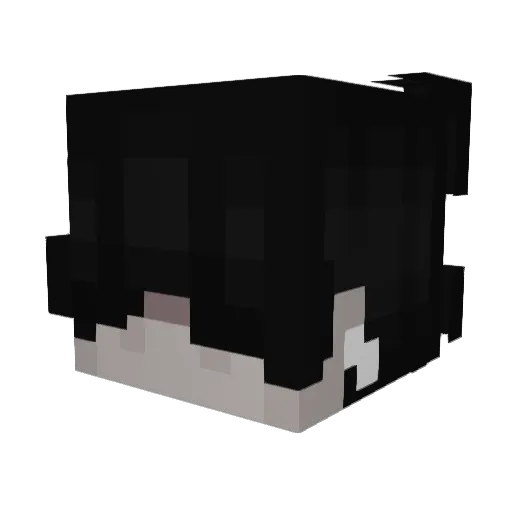 ToastyyTV_ Minecraft avatar head, 3D render