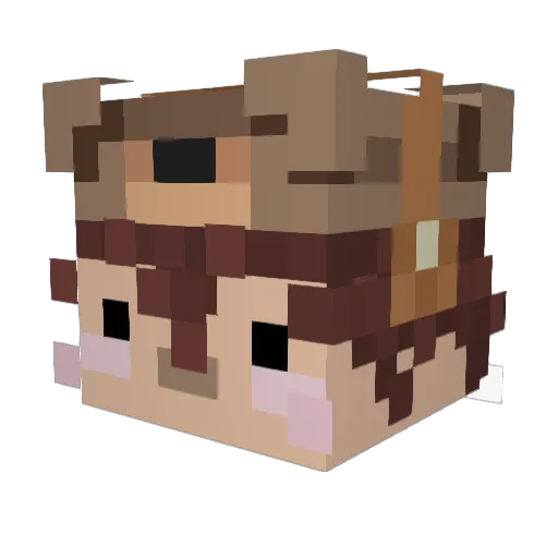 ToastyyyyX Minecraft avatar head, 3D render