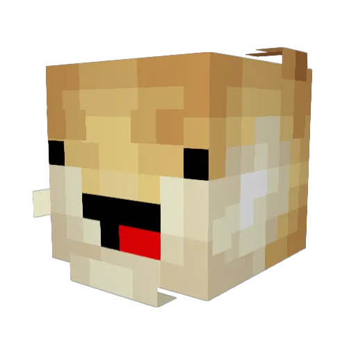Tob3863 Minecraft avatar head, 3D render