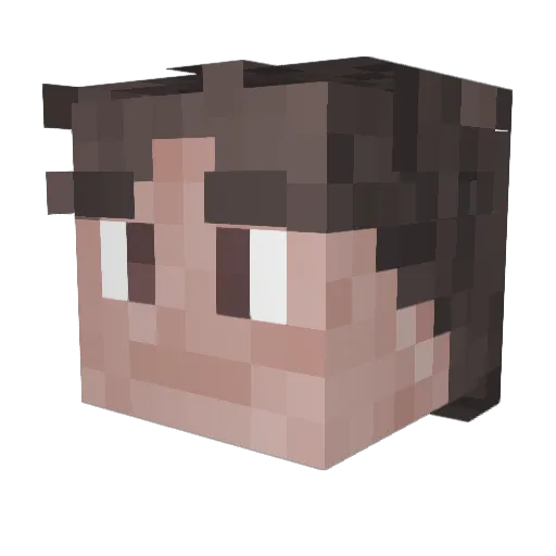 Tob55yt Minecraft avatar head, 3D render