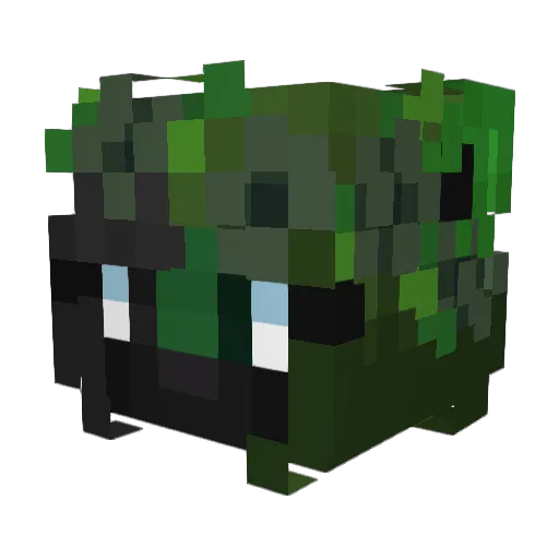 Tob_ii Minecraft avatar head, 3D render