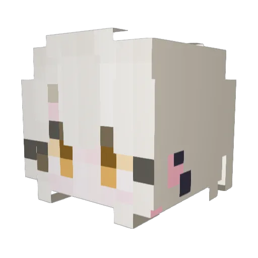 Toback_ Minecraft avatar head, 3D render