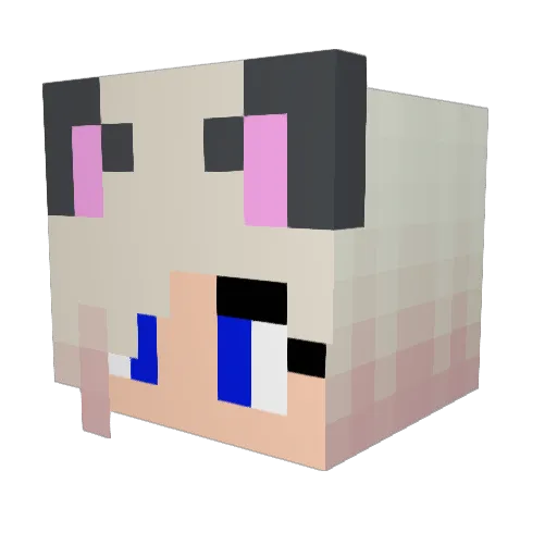 Toballa Minecraft avatar head, 3D render