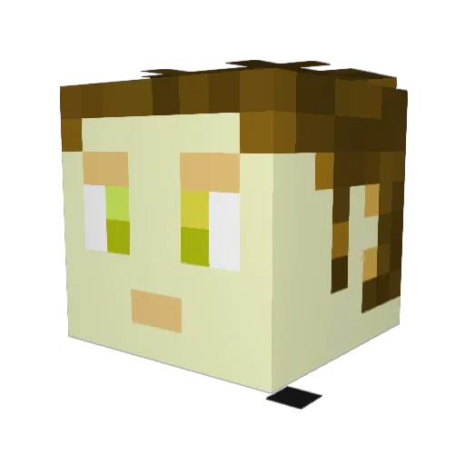 Tobastin Minecraft avatar head, 3D render
