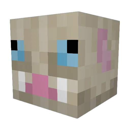 Tobb_es Minecraft avatar head, 3D render